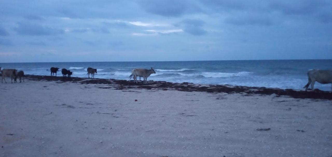 Portadosoljeri Hotel Jijoca de Jericoacoara Luaran gambar